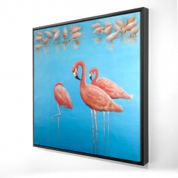 Group of flamingos