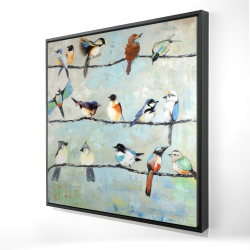 Small colorful birds