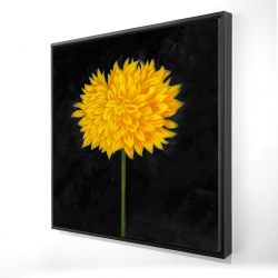 Framed 48 x 48 - 3D - Yellow chrysanthemum