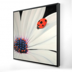 Framed 36 x 36 - 3D - White daisy and ladybug