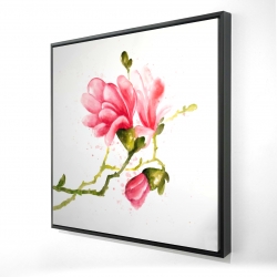 Magnolia flowers