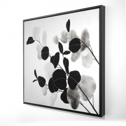Branches et feuilles rondes