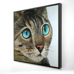 Framed 24 x 24 - 3D - Curious cat portrait