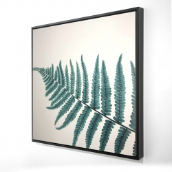 Beautiful fern
