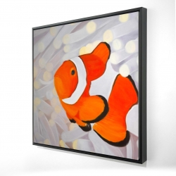 Poissons clown