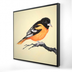 Framed 48 x 48 - 3D - Realistic little bird on a branch