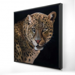 Realistic fierce leopard
