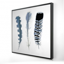 Delicate blue feathers
