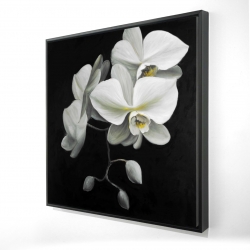 Framed 48 x 48 - 3D - White orchids