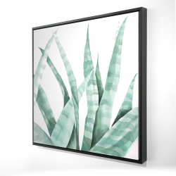 Watercolor striped desert plant