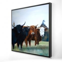 Framed 48 x 48 - 3D - Four highland cows