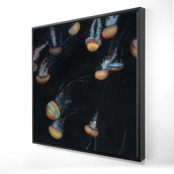 Framed 36 x 36 - 3D - Colorful jellyfishes swimming in the dark