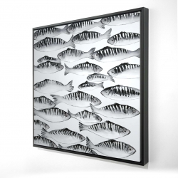 Gray shoal of fish
