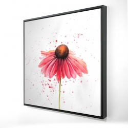 Framed 48 x 48 - 3D - Pink daisy