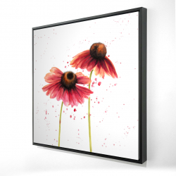 Framed 36 x 36 - 3D - Two pink daisies