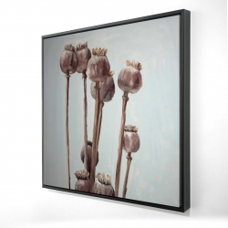 Framed 48 x 48 - 3D - Sepia poppy head plants