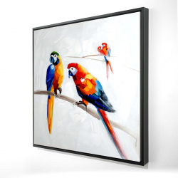 Framed 24 x 24 - 3D - Parrots on a branch
