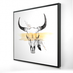 Cow skull with feather