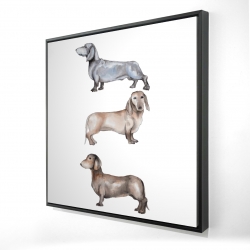 Framed 24 x 24 - 3D - Small dachshund dog