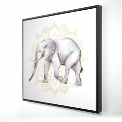 Elephant on mandalas