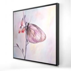 Delicate butterfly