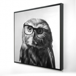 Northern saw-whet owl with glasses