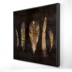Ensemble de plumes brunes