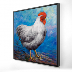 Poule grise