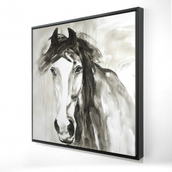 Magnifique cheval sauvage