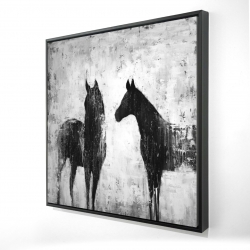 Chevaux blancs et noirs