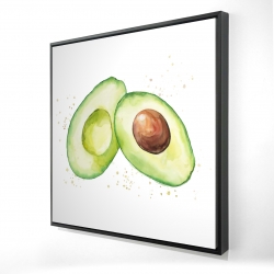 Avocat ouvert à l'aquarelle