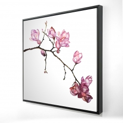 Branche de fleurs de cerisier
