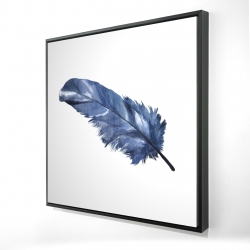 Blue feather