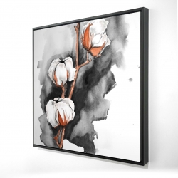 Fleurs de cotton sur fond noir