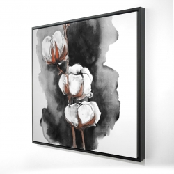 Fleurs de cotton