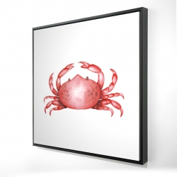 Crabe