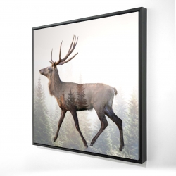 Large plume roe deer
