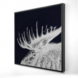 Big moose plume