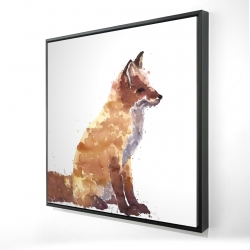 Red fox