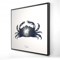 Crabe bleu