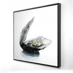 Pearl oyster