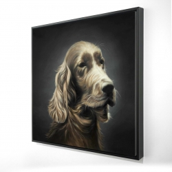 Field spaniel