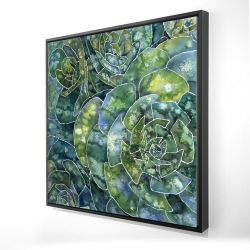 Succulents abstrait