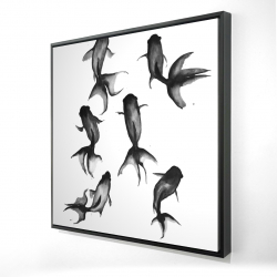 Black fishes