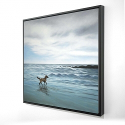 Chien à la plage