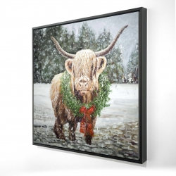 Highland christmas cow