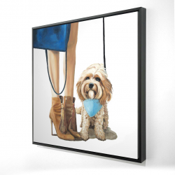 Chien cavoodle à la mode