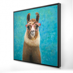 Aimable llama