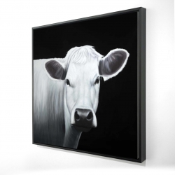 Vache blanche
