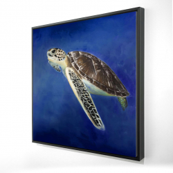 Beautiful sea turtle